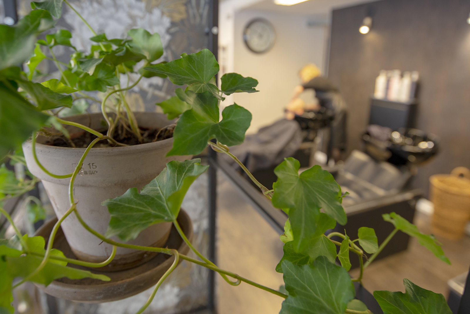 Sprej Hårstudio /foto Håkan Sjöström
